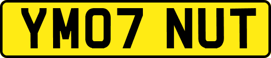 YM07NUT