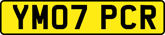 YM07PCR