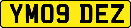 YM09DEZ