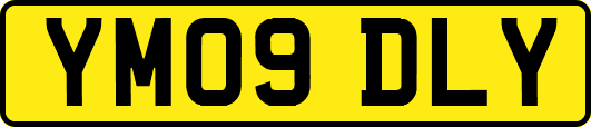 YM09DLY