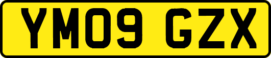 YM09GZX