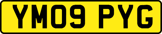 YM09PYG