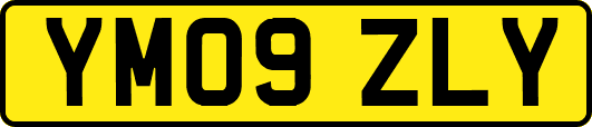 YM09ZLY