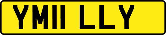 YM11LLY