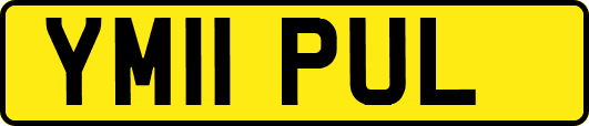 YM11PUL
