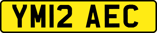 YM12AEC