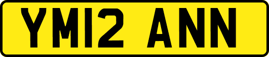 YM12ANN