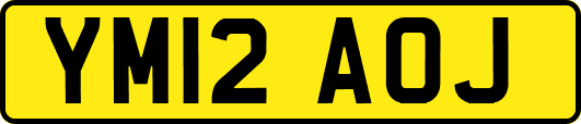 YM12AOJ
