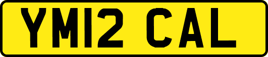 YM12CAL
