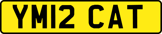 YM12CAT