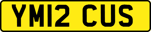 YM12CUS