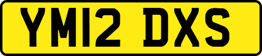 YM12DXS