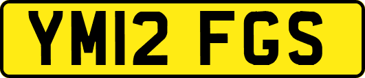 YM12FGS