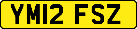 YM12FSZ