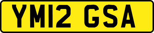 YM12GSA