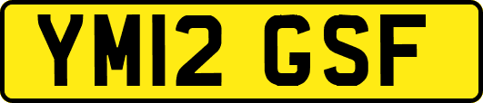 YM12GSF