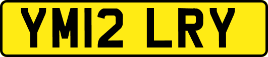 YM12LRY