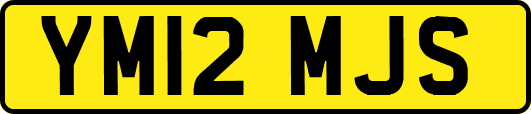 YM12MJS