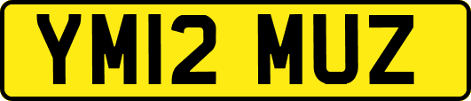 YM12MUZ