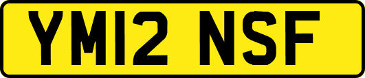 YM12NSF