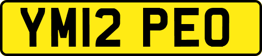 YM12PEO