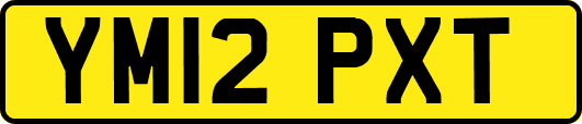 YM12PXT
