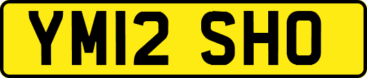YM12SHO
