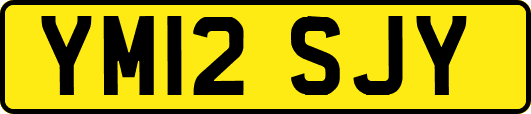 YM12SJY