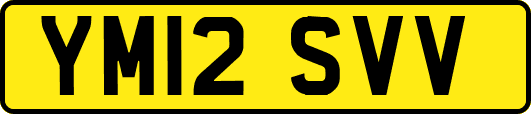 YM12SVV