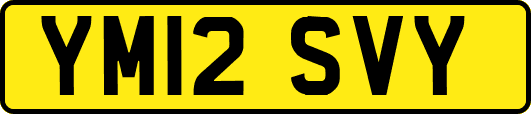 YM12SVY