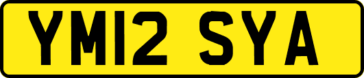 YM12SYA