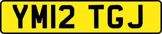YM12TGJ