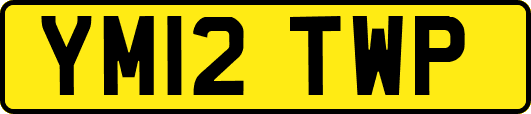 YM12TWP