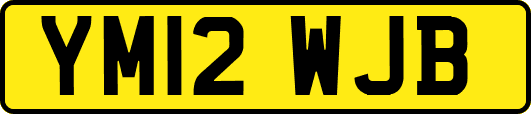 YM12WJB