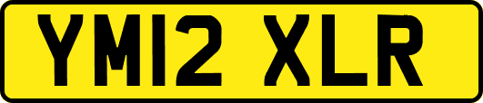YM12XLR