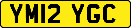 YM12YGC