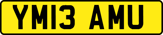 YM13AMU