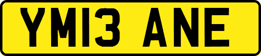 YM13ANE
