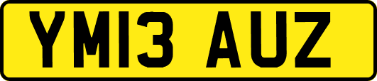 YM13AUZ