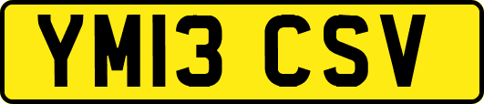 YM13CSV