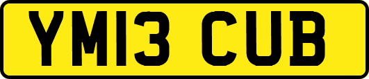 YM13CUB