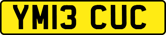YM13CUC