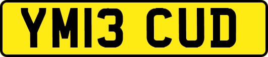 YM13CUD
