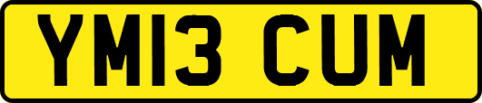 YM13CUM