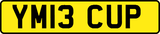 YM13CUP