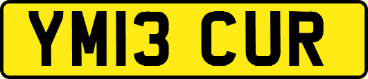 YM13CUR