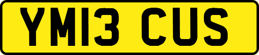 YM13CUS