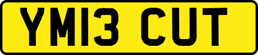 YM13CUT