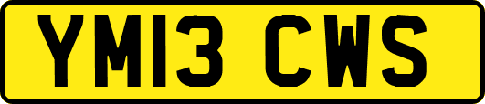 YM13CWS