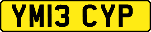 YM13CYP